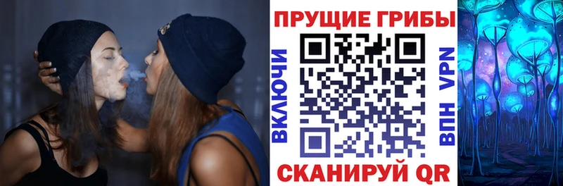 blacksprut как зайти Похвистнево Псилоцибиновые грибы мицелий наркошоп