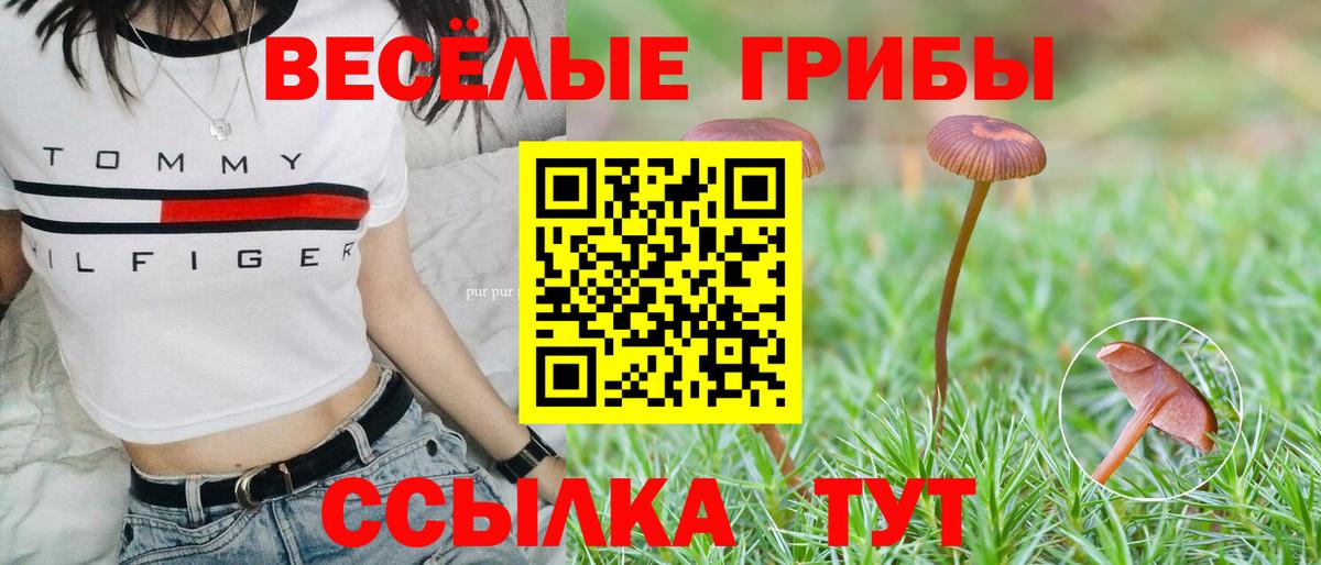 Галлюциногенные грибы мицелий Похвистнево